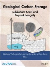 book Geological Carbon Storage: Subsurface Seals and Caprock Integrity