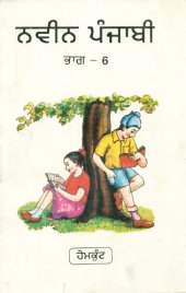 book ਨਵੀਨ ਪੰਜਾਬੀ / Naveen Punjabi, Book 6