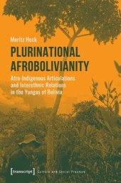 book Plurinational Afrobolivianity: Afro-Indigenous Articulations and Interethnic Relations in the Yungas of Bolivia