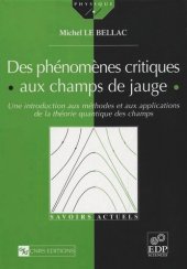 book Des phénomènes critiques aux champs de jauge: Une introduction aux méthodes et aux applications de la théorie quantique des champs