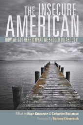 book The Insecure American: How We Got Here and What We Should Do About It