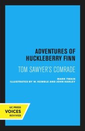 book Adventures of Huckleberry Finn, Tom Sawyer’s comrade