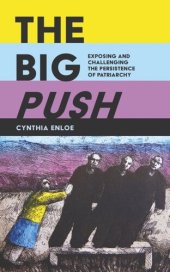 book The Big Push: Exposing and Challenging the Persistence of Patriarchy