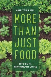 book More Than Just Food: Food Justice and Community Change