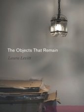 book The Objects That Remain