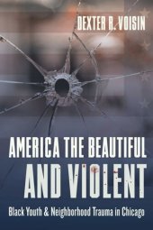 book America the Beautiful and Violent: Black Youth and Neighborhood Trauma in Chicago