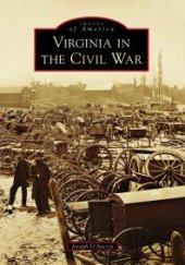 book Virginia in the Civil War