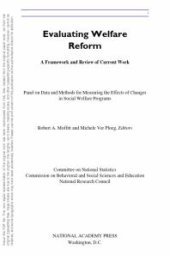 book Evaluating Welfare Reform: A Framework and Review of Current Work, Interim Report