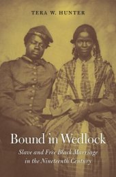 book Bound in Wedlock: Slave and Free Black Marriage in the Nineteenth Century