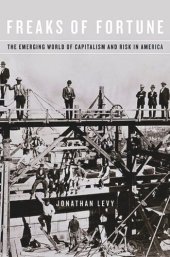 book Freaks of Fortune: The Emerging World of Capitalism and Risk in America