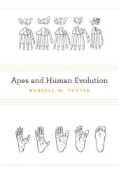 book Apes and Human Evolution