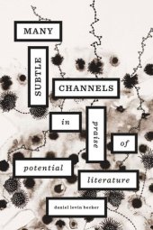 book Many Subtle Channels: In Praise of Potential Literature