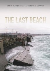 book The Last Beach