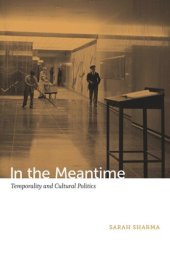 book In the Meantime: Temporality and Cultural Politics