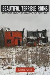 book Beautiful Terrible Ruins: Detroit and the Anxiety of Decline