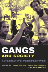 book Gangs and Society: Alternative Perspectives