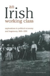 book An Irish Working Class: Explorations in Political Economy and Hegemony, 1800-1950