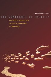 book The Semblance of Identity: Aesthetic Mediation in Asian American Literature