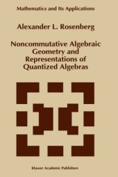 book Noncommutative Algebraic Geometry and Representations of Quantized Algebras