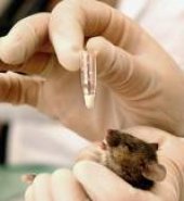 book Биология продолжительности жизни