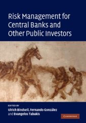 book Risk Management for Central Banks and Other Public Investors