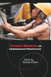 book Chinese Workers in Comparative Perspective