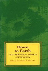 book Down to Earth: The Territorial Bond in South China