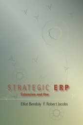 book Strategic ERP Extension and Use