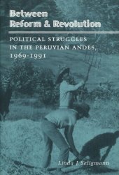 book Between Reform and Revolution: Political Struggles in the Peruvian Andes, 1969-1991