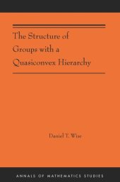 book The Structure of Groups with a Quasiconvex Hierarchy: (AMS-209)