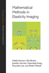 book Mathematical Methods in Elasticity Imaging