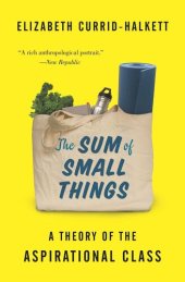 book The Sum of Small Things: A Theory of the Aspirational Class