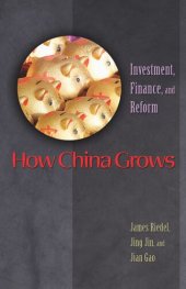 book How China Grows: Investment, Finance, and Reform