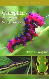 book Caterpillars of Eastern North America: A Guide to Identification and Natural History