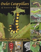 book Owlet Caterpillars of Eastern North America