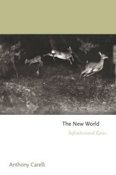 book The New World: Infinitesimal Epics