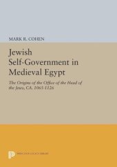 book Jewish Self-Government in Medieval Egypt: The Origins of the Office of the Head of the Jews, ca. 1065-1126