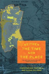 book Neither the Time nor the Place: The New Nineteenth-Century American Studies