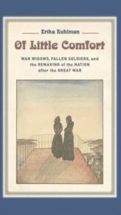 book Of Little Comfort: War Widows, Fallen Soldiers, and the Remaking of the Nation after the Great War