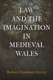 book Law and the Imagination in Medieval Wales