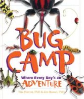 book Bug Camp: Where Every Day's an Adventure