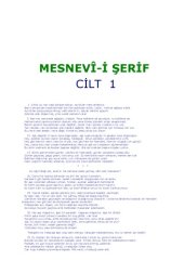 book mesnevi-i serif