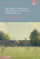 book The Theory, Practice, and Interpretation of Customary International Law