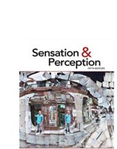 book Sensation and Perception