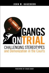 book Gangs on Trial: Challenging Stereotypes and Demonization in the Courts