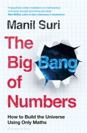 book The Big Bang of Numbers