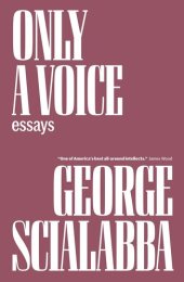 book Only a Voice: Essays