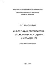 book Инвестиции предприятия: экономическая оценка и управление