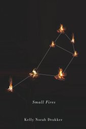 book Small Fires