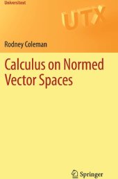 book Calculus on Normed Vector Spaces